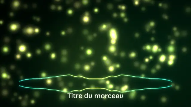 Modèle Lucioles : aperçu de la vidéo