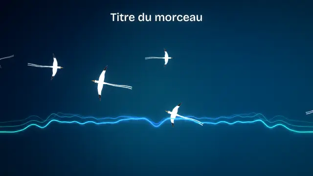 Modèle Paille-en-queue : aperçu de la vidéo